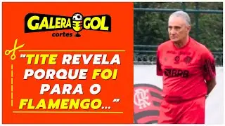 TITE MENTIU? I CORTES GALERA GOL RODADA  BRASILEIR&Atilde;O
