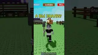 Secret level! #roblox #robloxer #growgarden