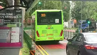 SG3461X svc 300 ZhongTong N12 #shorts 