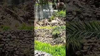 wadi shees #nature #travel #love #vlog #uae #roadtrip #trip