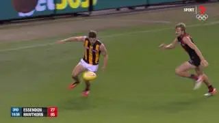 Round 12 AFL - Essendon v Hawthorn Highlights