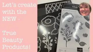 Creating with the NEW True Beauty Suite of products!