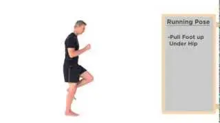 Pose Position