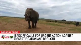 SADC PF calls for urgent action against desertification and drought