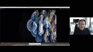 Macro Photography: Finding Zen with a Lightbox with Alan Shapiro