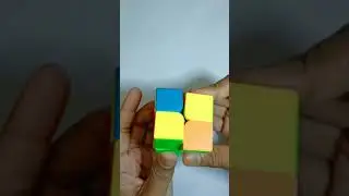 Rubik's Cube Solve World Record 😱(2×2)