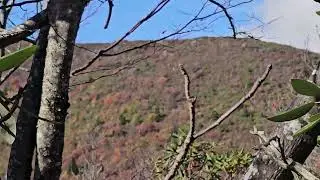 Graveyard Fields Ridge Trail, Part 15