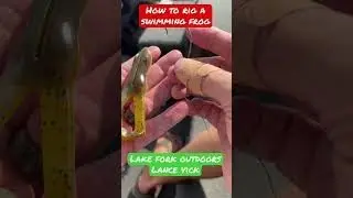 Как оснастить плавающую лягушку для ловли окуня #shorts #shortsfeed #bass#bassfishing #lakefork#b...