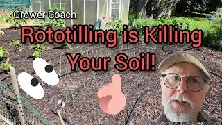 Is Rototilling good for your garden? Time to find out.