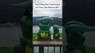 🐸 This frog display is way cuter than expected on at Ita Thao Sun moon lake.