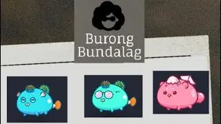 DAP VS AAB (Aqua Double Anemone with Bird Backlane after NERFED