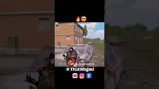 #falak #zoro #bixiop #lollzzzgaming #mayurgaming #dobby #youtubeshorts #tiger