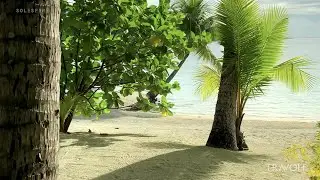 Private Island Walkthrough | Lifestyle | Bora Bora, Motu Tane, French Polynesia 🇵🇫 | 4K Travel