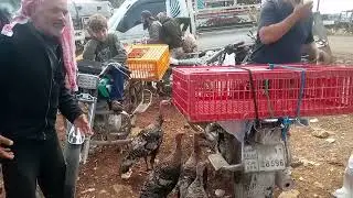 الاسواق العربيه فرع الشمال سوق عفرين سوق الجاج وطيور الزينه الااتنسو الاشتراك بالقناه ٢٠٢٤/٢٣/٥
