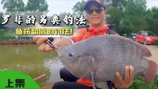 钓大罗非最有趣的钓法，了解这些罗非的习性想不上岸都难！ 【游钓黑坑一疯子】