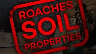 The Problems Cockroaches Bring With Them | Western Pest Services