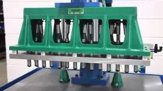 Hypneumat Lead Screw Tapping Machine with 14 Spindle Multi Head