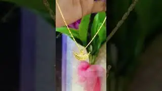 Latest 2025 Gold Jitiya Design | TP Jewellers Official | Tanishq Gold Locket Design#Shorts #Trending