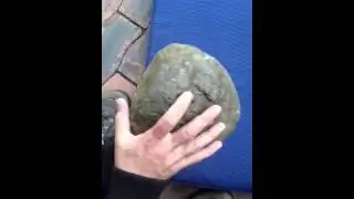 Prehistoric Human Hand Print