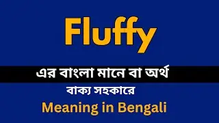Fluffy Meaning in Bengali / Fluffy শব্দের বাংলা ভাষায় অর্থ অথবা মানে কি