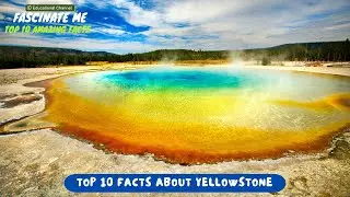 TOP 10 Most Interesting and Fascinating Facts about YELLOWSTONE NATIONAL PARK