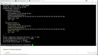 VMware vSphere: Network Troubleshooting