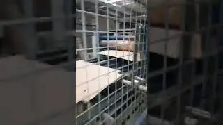 Simon 470 - Flexo printing machine | PP LION