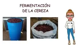 Promoci&oacute;n Caf&eacute; tipo LH