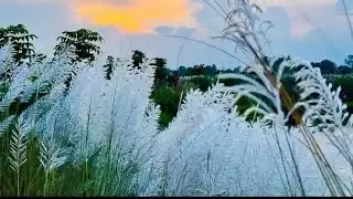 আসসালামু আলাইকুম, অনেক দিন পর চলে আসলাম লাইভে সবাই জয়েন হয়ে যাবেন।