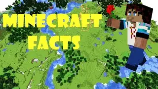 Top 10 Facts about Minecraft flowers