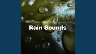 Lightning Sounds & Thunder