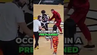 McGregor Miami Heat Mascot