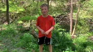 Log Crossing