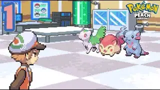 This Rom Hack is Stunning! // Pokemon Peach & Lime