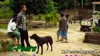 X-Pears - Kan Ram Tan