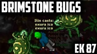 EK 87 BRIMSTONE BUGS - BEST places to hunt for KNIGHTS