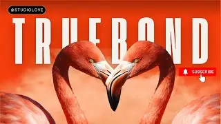 TRUEBOND