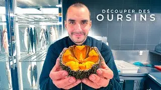 La meilleure façon d'ouvrir des oursins