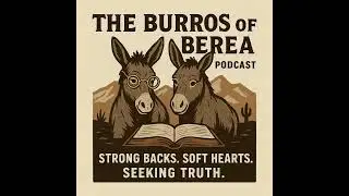 Episode 283- When the Bible Comes Alive: Learning Scripture Through Hebrew with Sarah Fisher
