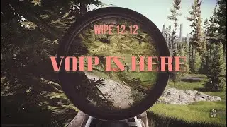 VOIP in EFT is Beautiful Chaos