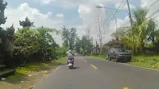 Enjoying Green Scenery Throughout the Ride
