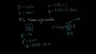 Aplicación de la ecuación Hardy Weinberg | Biología | Khan Academy en Español