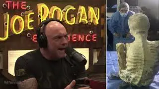 Joe Rogan on the Nazca alien mummies