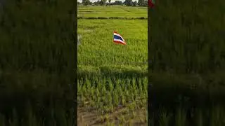Shocking Moment! Drone Crashes Into Thai Flagpole 🇹🇭  Unexpected Accident #aivideo #short #shorts