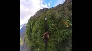 Camino real Huchuyqosqo Entheogens Peru washuma experience  #incawisdom #incatrail