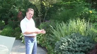 Deer Resistant Plants NJ | Winter Garden Plants - How To Select Winter Plants