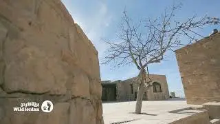 Dana Biosphere Reserve - Guest House