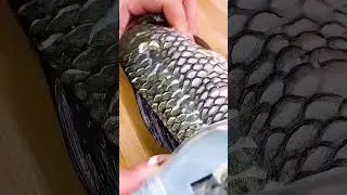 Brave Kitchen Hacks: No Fear with Fish Scales #useful #fish #clean