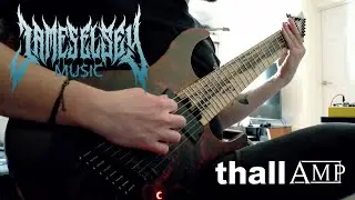 Will It Thall? - Odeholm Audio Thall Amp Demo