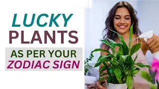 Lucky Plants for Each Zodiac Sign: Unveiling the Perfect Botanical Allies!